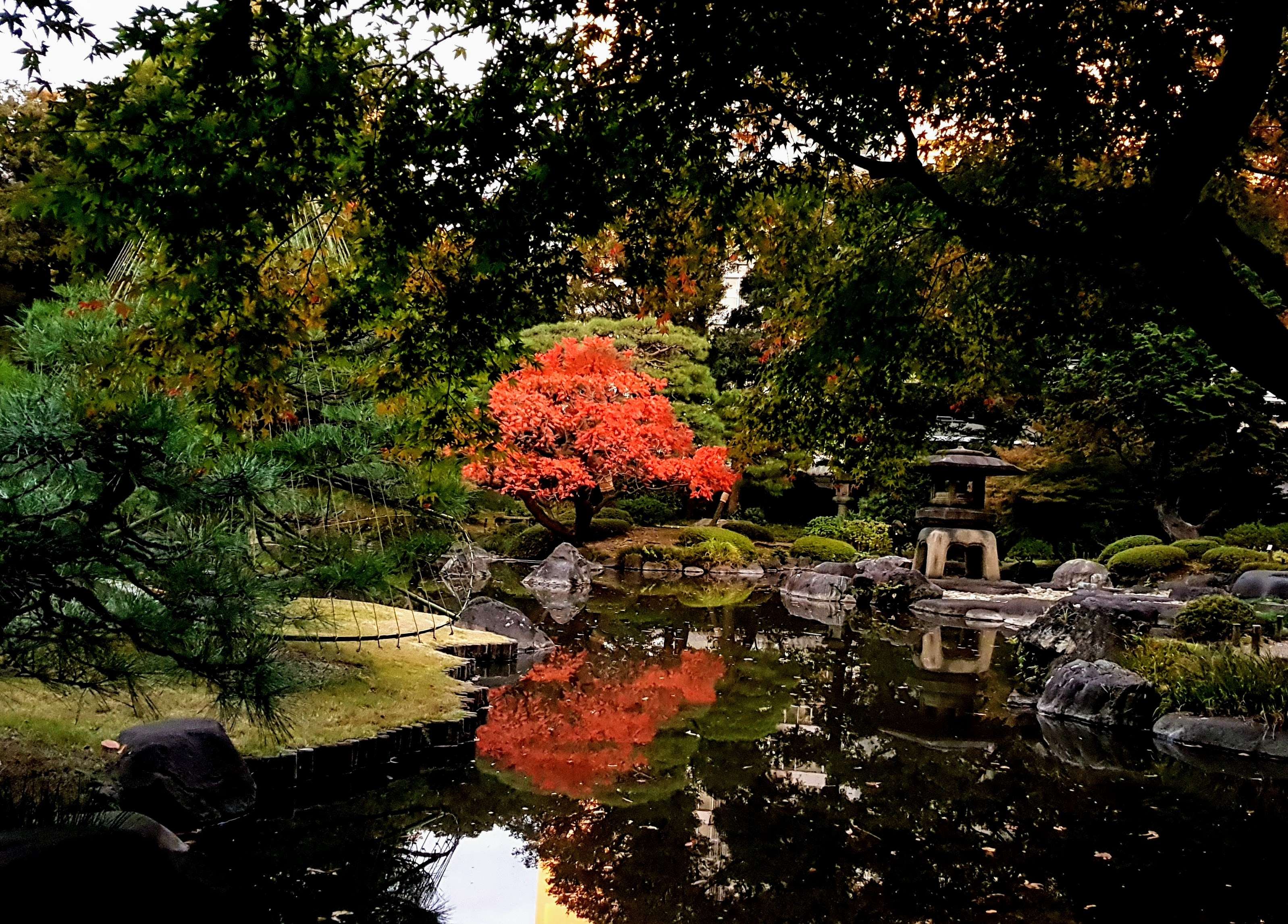 🌸 구 후루카와 정원(큐후루카와테이엔) 이미지 5